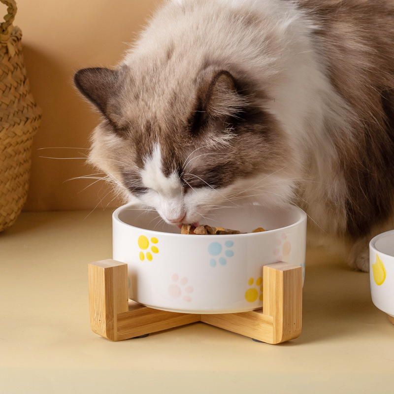 Керамическая миска для собак с – обзор и цена Baby Food Cat