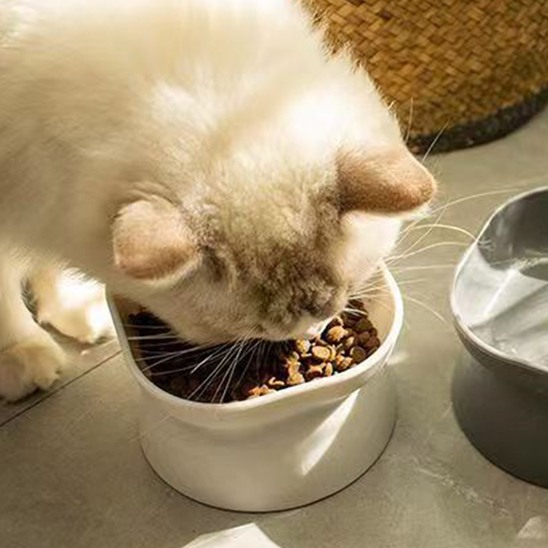 Миска для корма двойного назна – обзор и цена Baby Food Cat